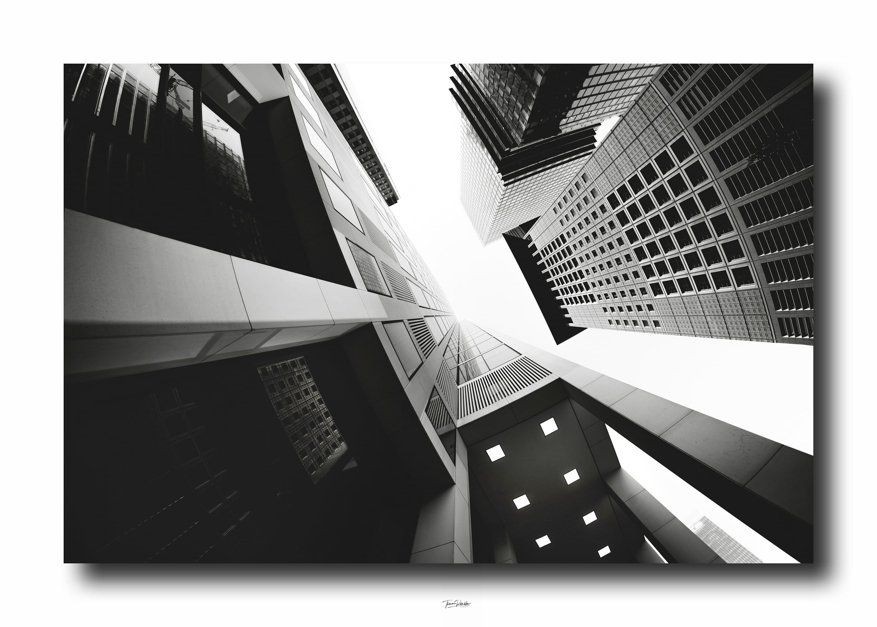 Web optimiert_DSC0511 Kopie-2 Kopie