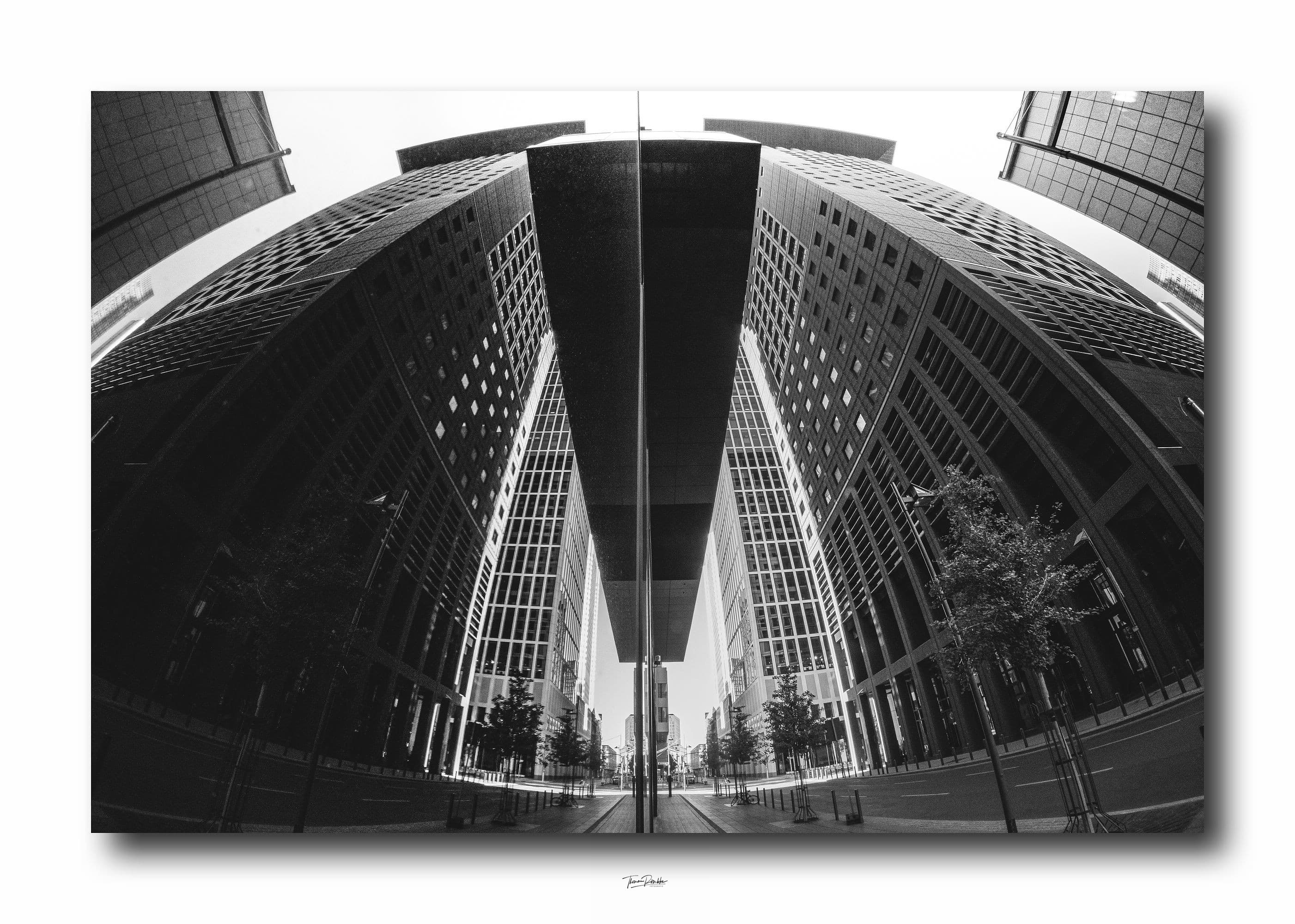 Web optimiert_DSC0577 Kopie