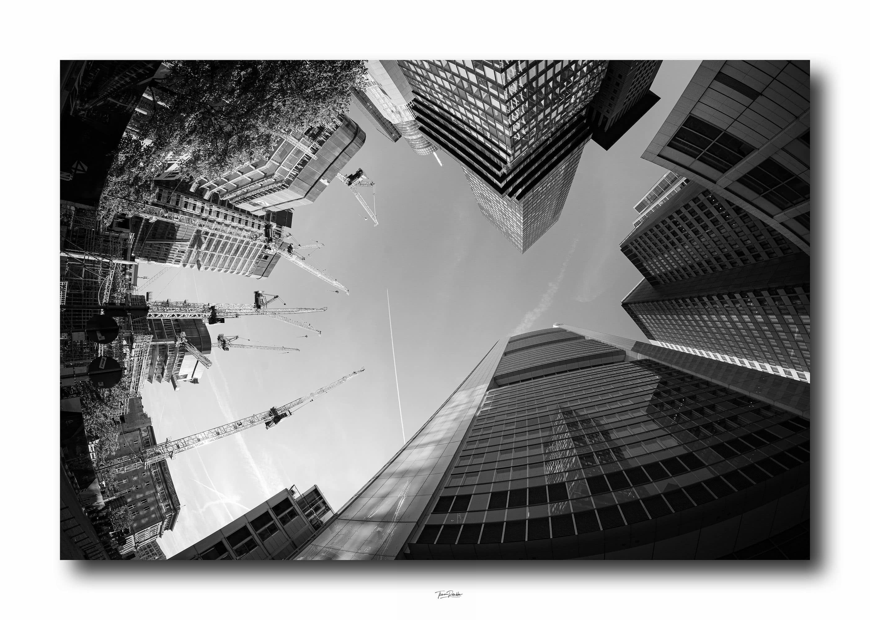 Web optimiert_DSC0650 Kopie